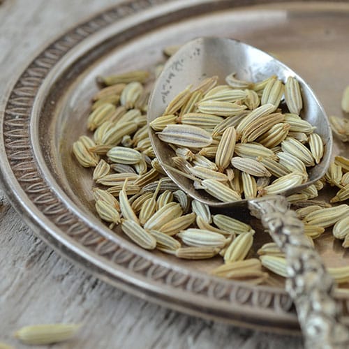 Fenchelsamen